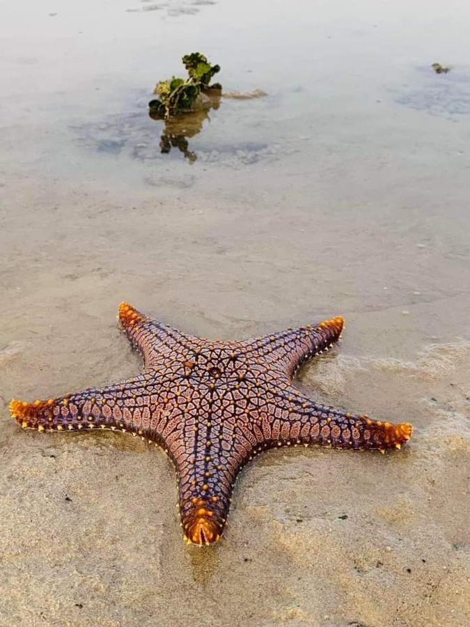 Aparthotel Sea Shell Hut Ko Phi Phi Zewnętrze zdjęcie